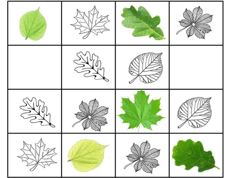 Abbildung eines Beispiels für ein Blatt-Sudoku.